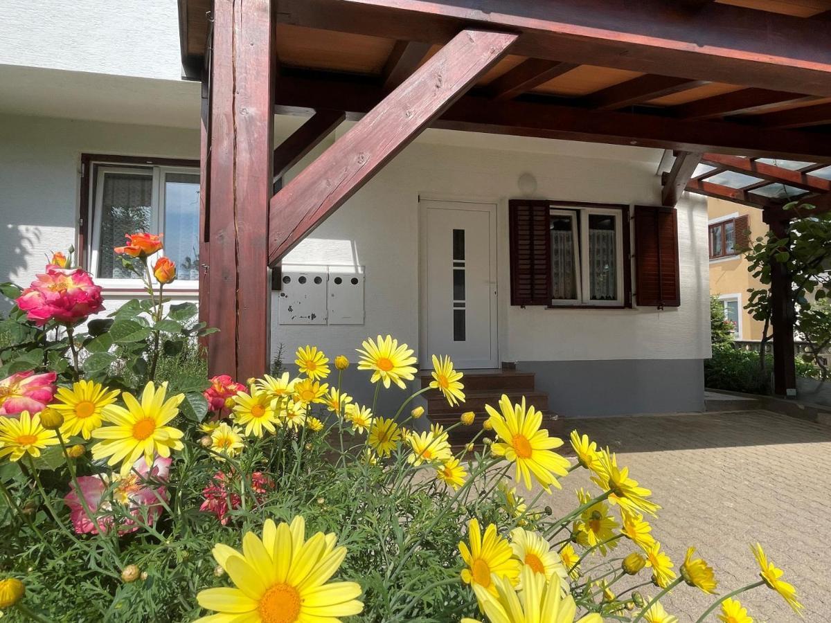 Iva Apartments Novigrad Istria Exterior foto